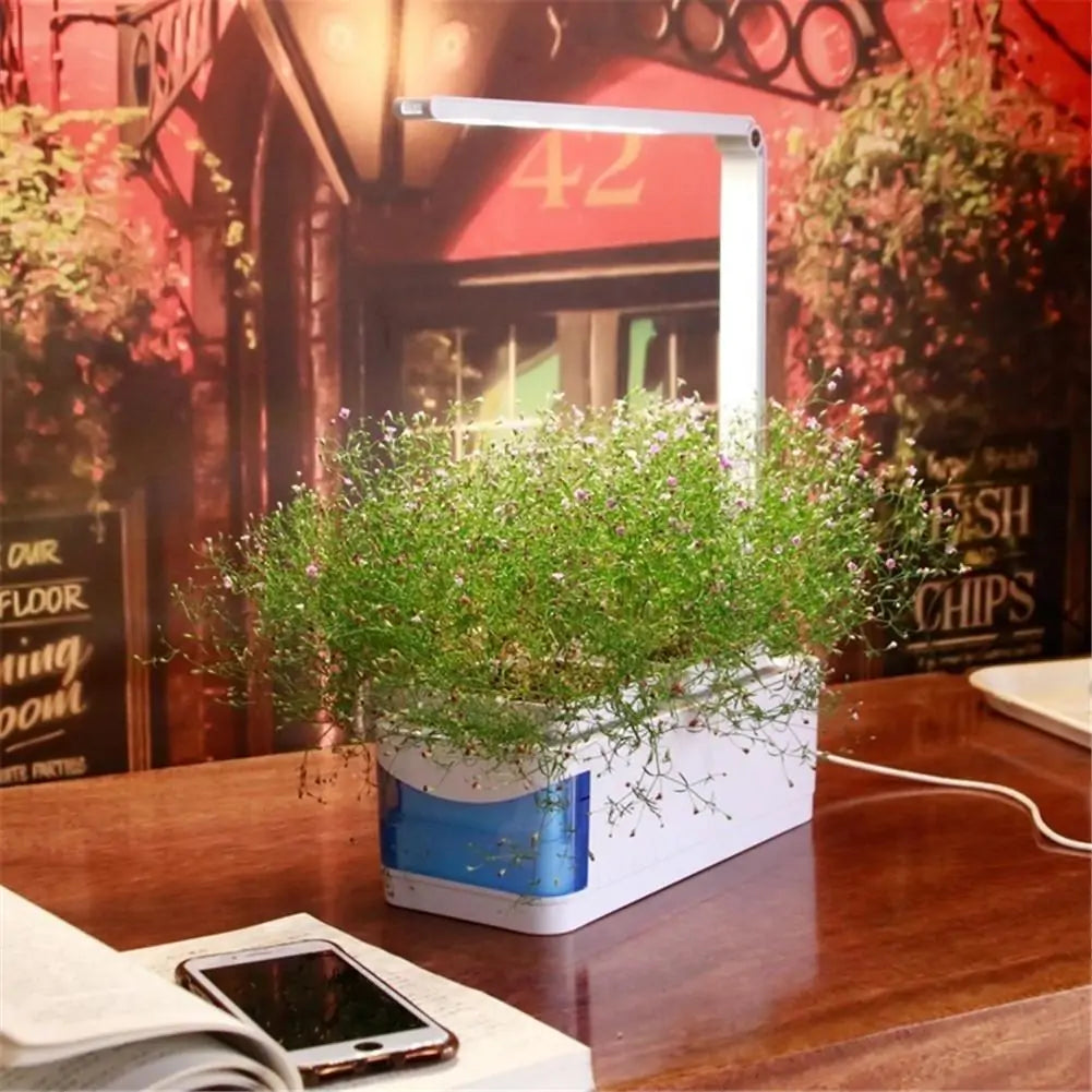 Smart Hydroponic Indoor