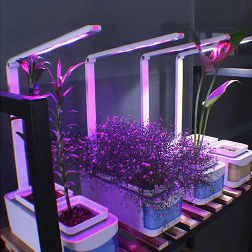 Smart Hydroponic Indoor