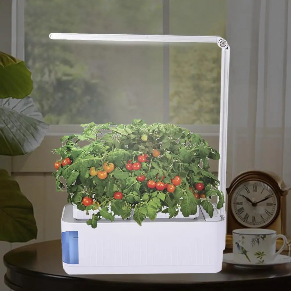 Smart Hydroponic Indoor